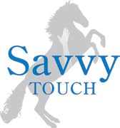 Savvy Touch